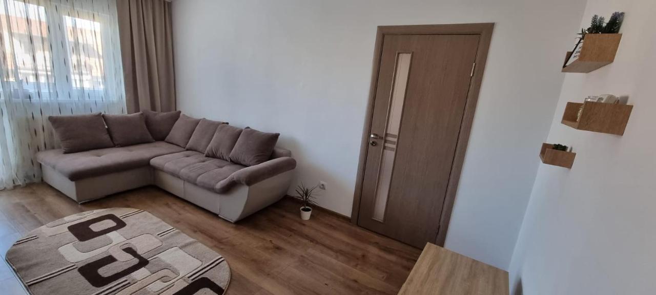 Dacia Apartment Timisoara Exterior photo